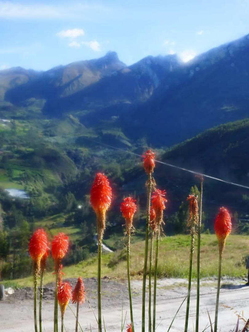 Randonnée seul à 50 ans : Exploration du lac Parón dans les montagnes des Andes au Pérou