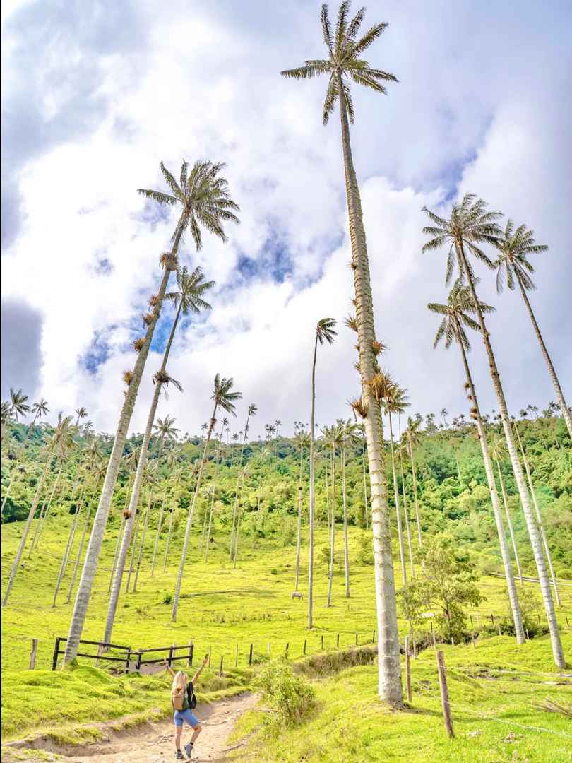 Hiking Cocora Valley in Colombia | Around the World Trip Day 111