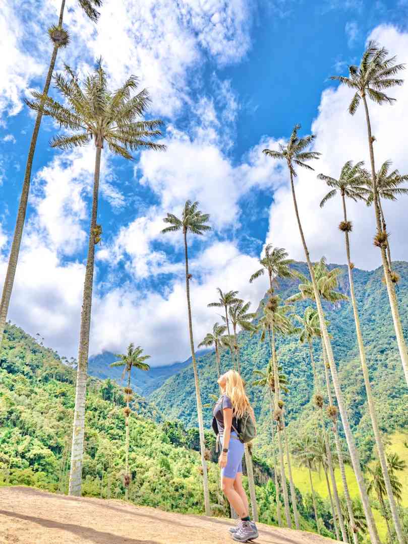Hiking Cocora Valley in Colombia | Around the World Trip Day 111