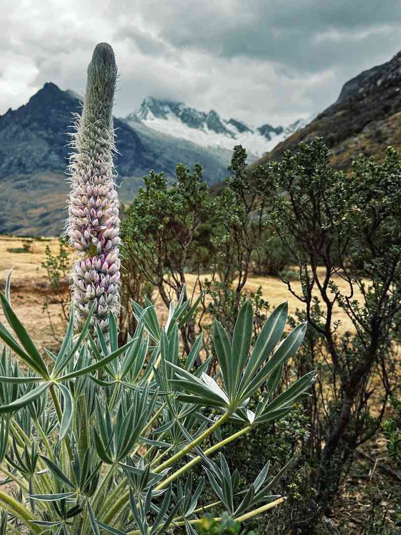 Hiking Trails in Santa Cruz, Peru for Renewing Your Energy and Spirit