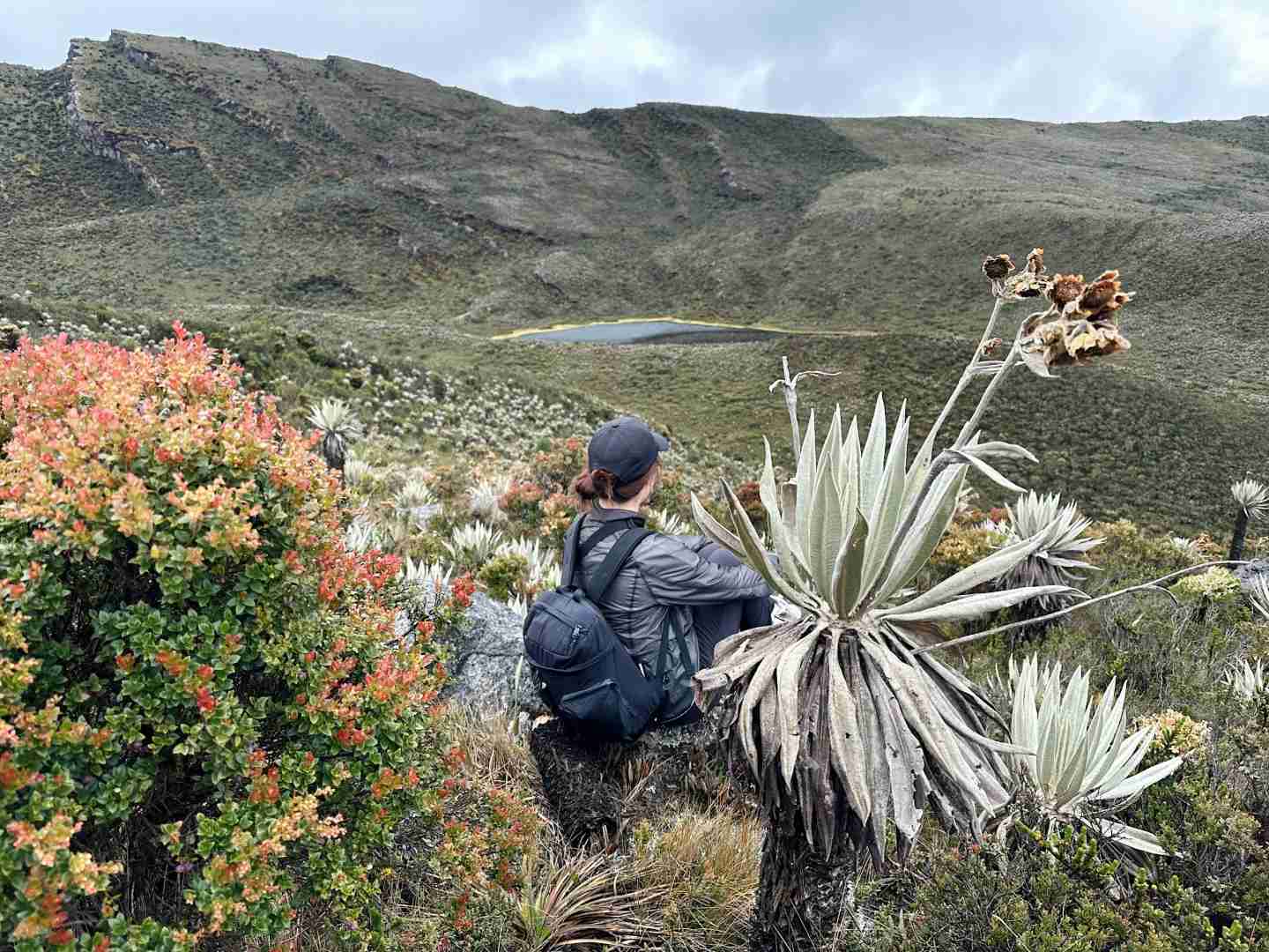 Wandern um Bogotá: Entdecken Sie den Chingaza-Nationalpark Kolumbien