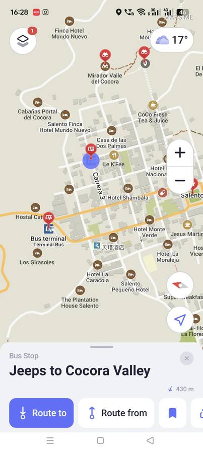 Hiking in Cocora Valley Colombia: A Quindío Cloud Forest Adventure