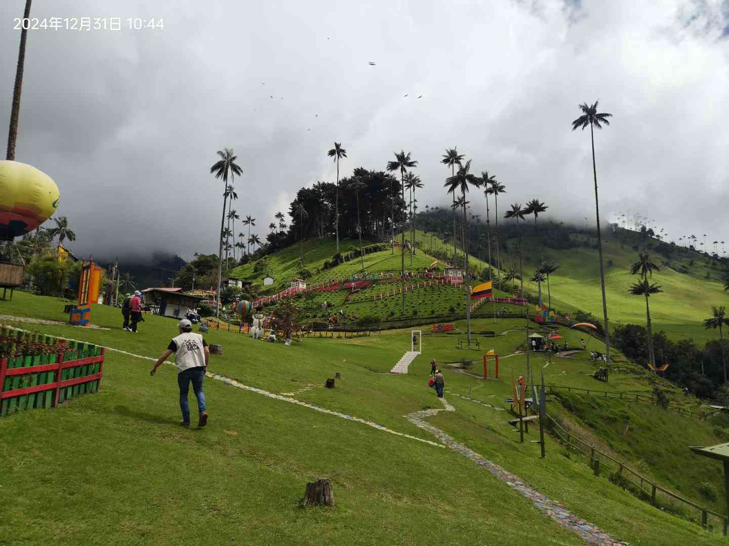Hiking in Cocora Valley Colombia: A Quindío Cloud Forest Adventure