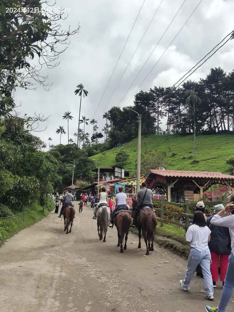 Hiking in Cocora Valley Colombia: A Quindío Cloud Forest Adventure