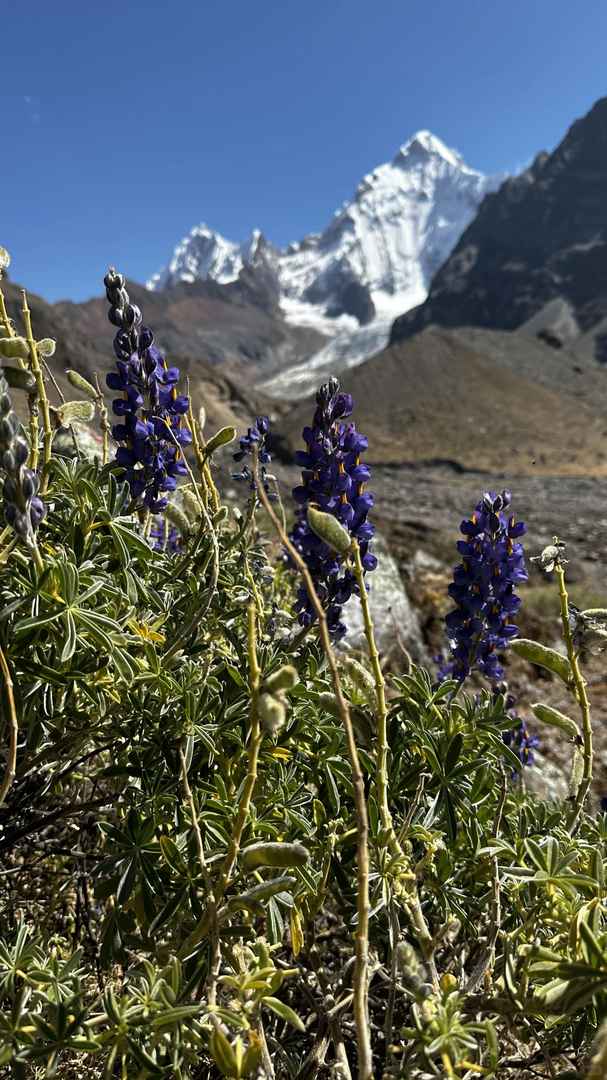 Hiking the Huayhuash High Route in Peru: Small Matters and Mountain Views