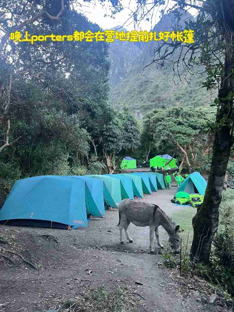 Hiking the Inca Trail to Machu Picchu: Tips for an Unforgettable Journey