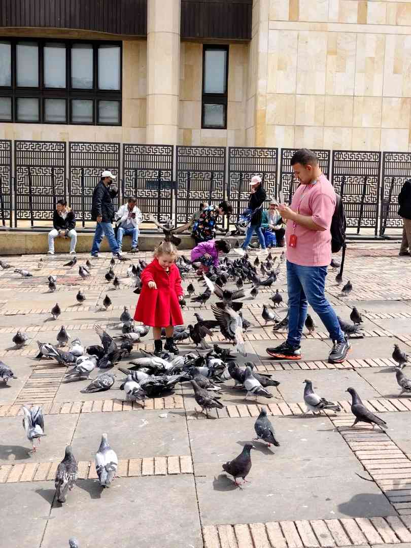 Hire a Nanny in Bogota, Colombia: Comprehensive Local Guide