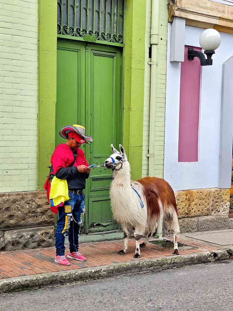 Hire a Nanny in Bogota, Colombia: Comprehensive Local Guide