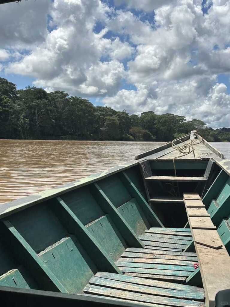 1万人のフォロワーを持つブログを育てる方法：ESTJのアマゾン熱帯雨林への旅