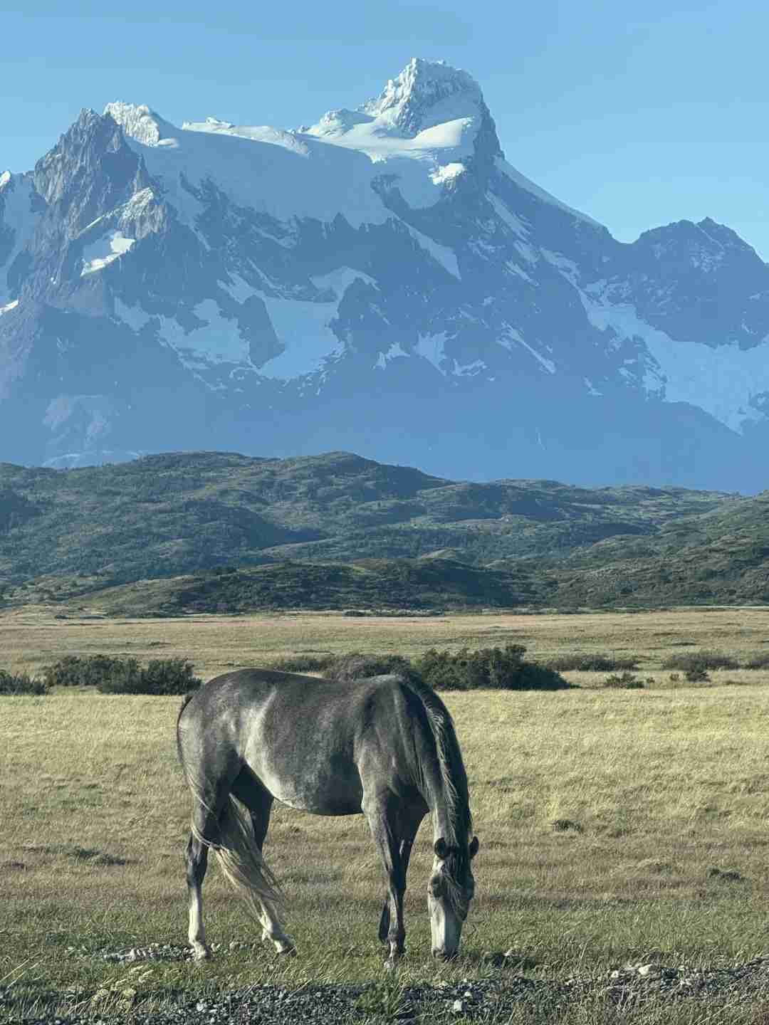 How to Plan a Budget-Friendly Self-Guided Tour in Torres del Paine National Park?