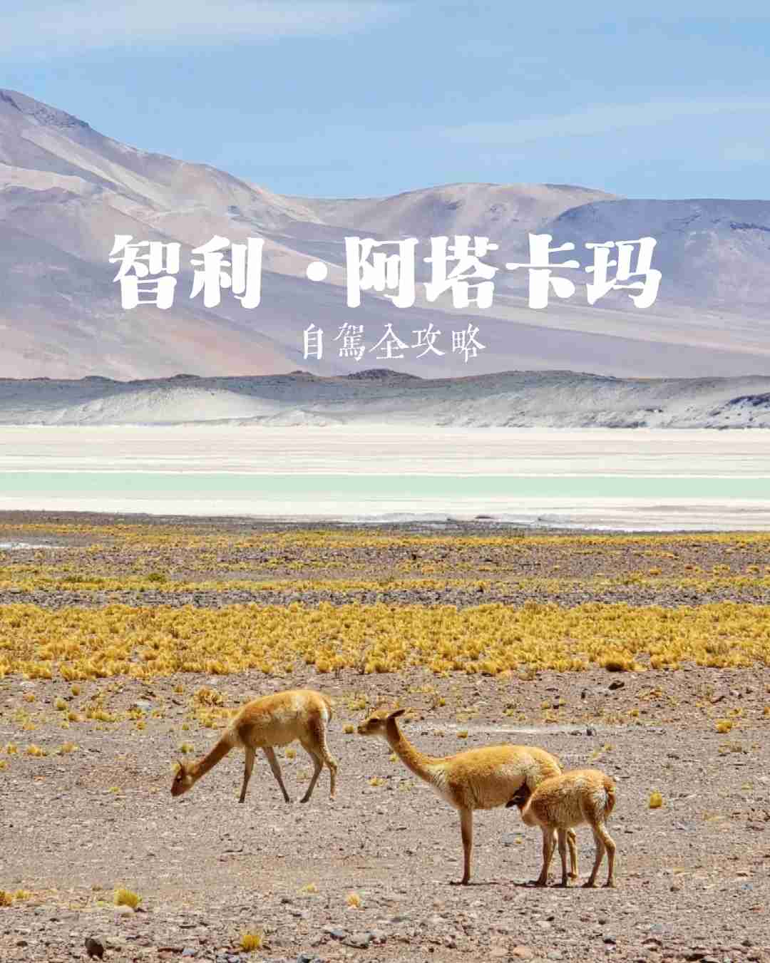 How to Plan a Budget-Friendly Self-Guided Tour of Atacama's Salt Lakes?