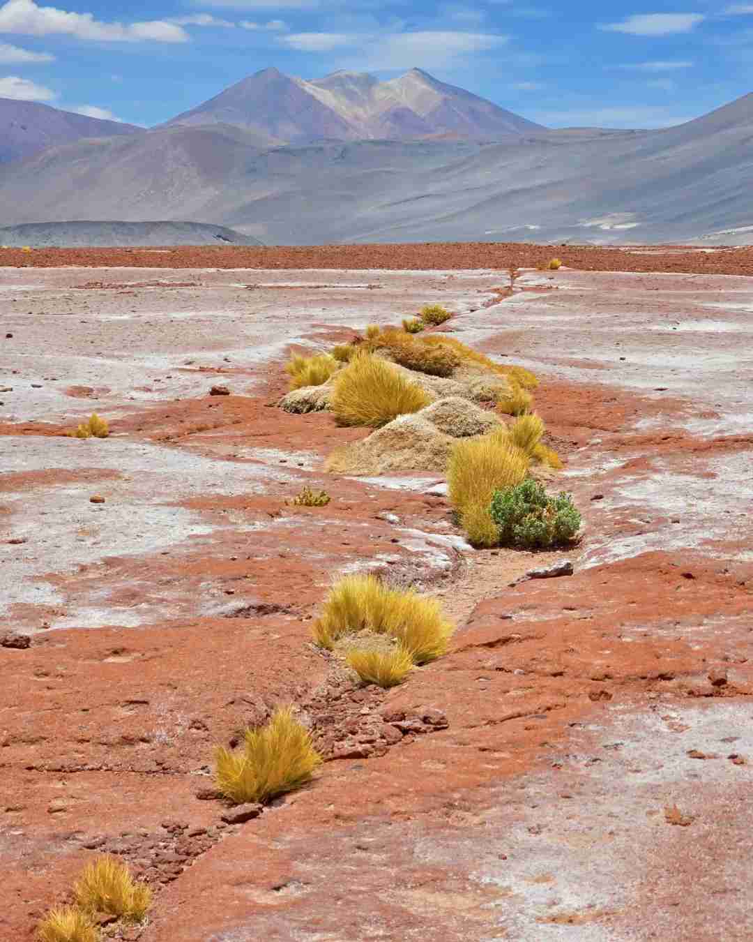 How to Plan a Budget-Friendly Self-Guided Tour of Atacama's Salt Lakes?