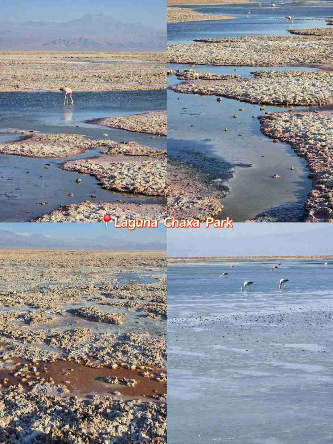 How to Plan a Budget-Friendly Self-Guided Tour of Atacama's Salt Lakes?