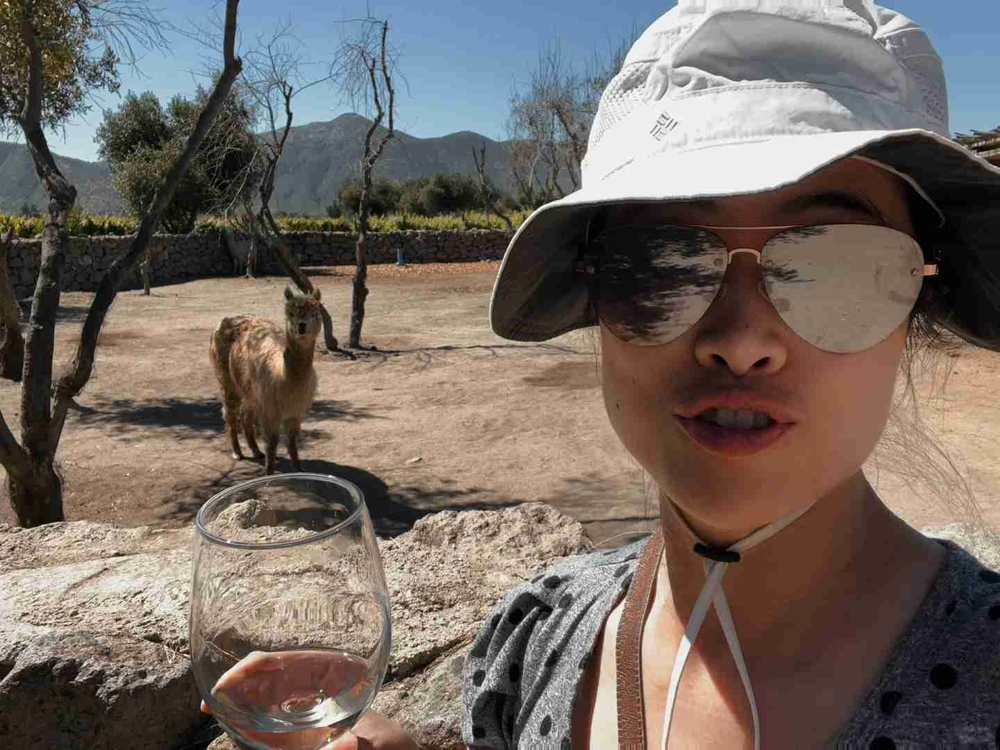 How to Plan a Budget-Friendly Self-Guided Tour in Chile for Solo Travelers?