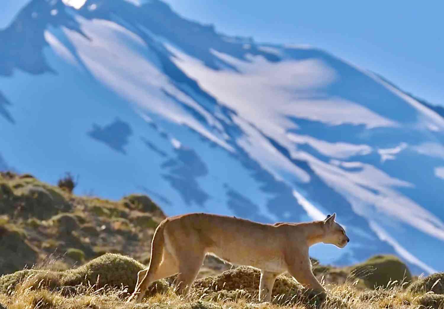 How to Plan a Budget-Friendly Self-Guided Tour of Torres del Paine Routes?