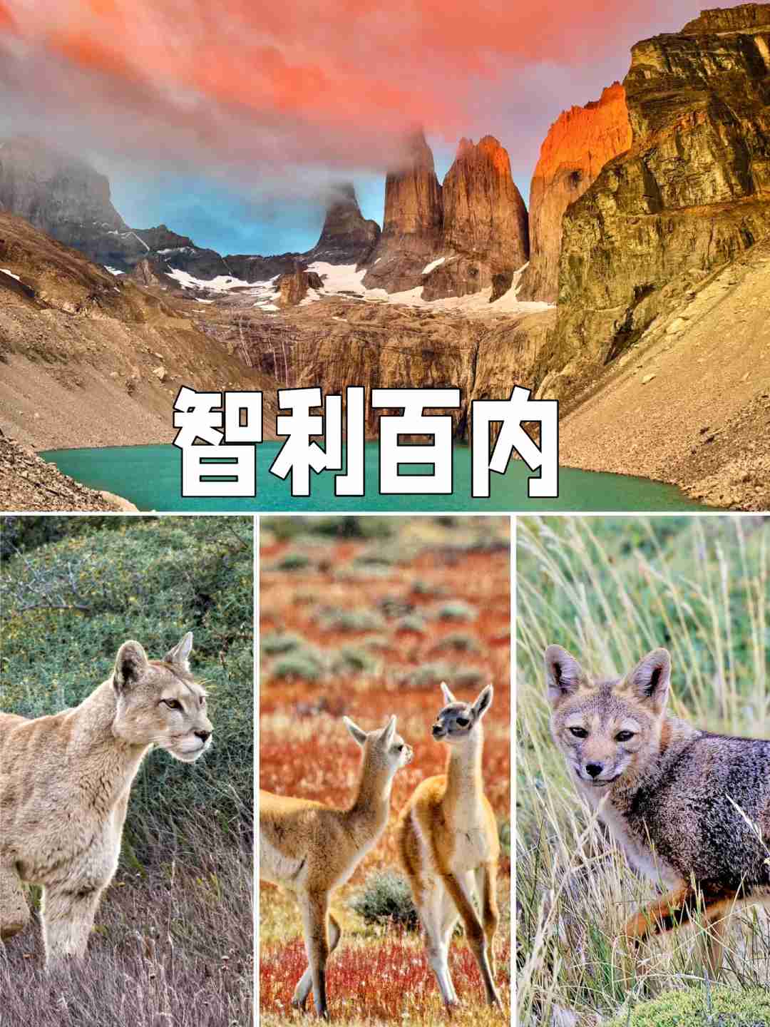 How to Plan a Budget-Friendly Self-Guided Tour of Torres del Paine Routes?