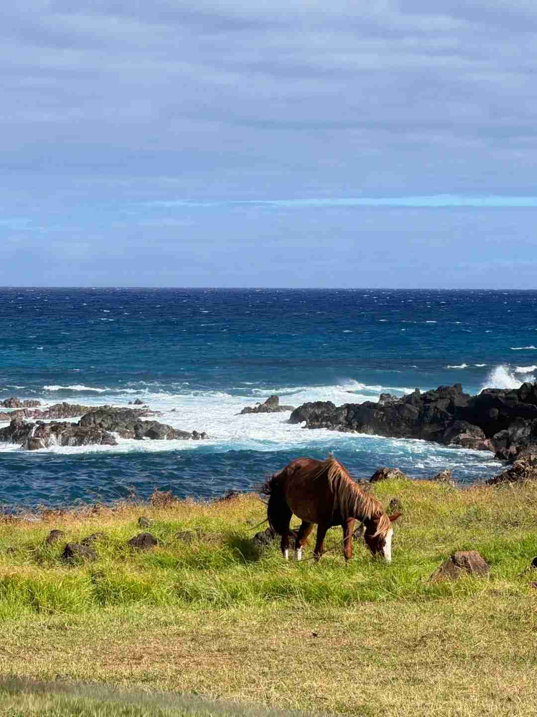 Comment organiser un circuit autoguidé bon marché à l'Île de Pâques ?