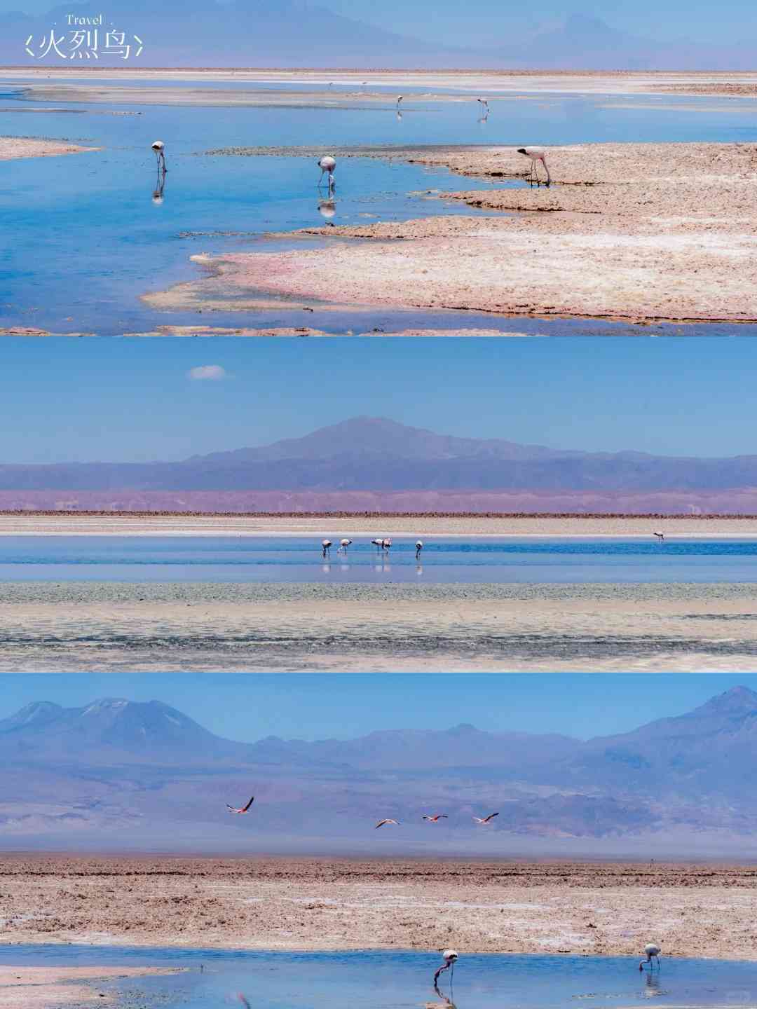 Comment organiser un circuit autoguidé à petit budget dans le désert d'Atacama ?