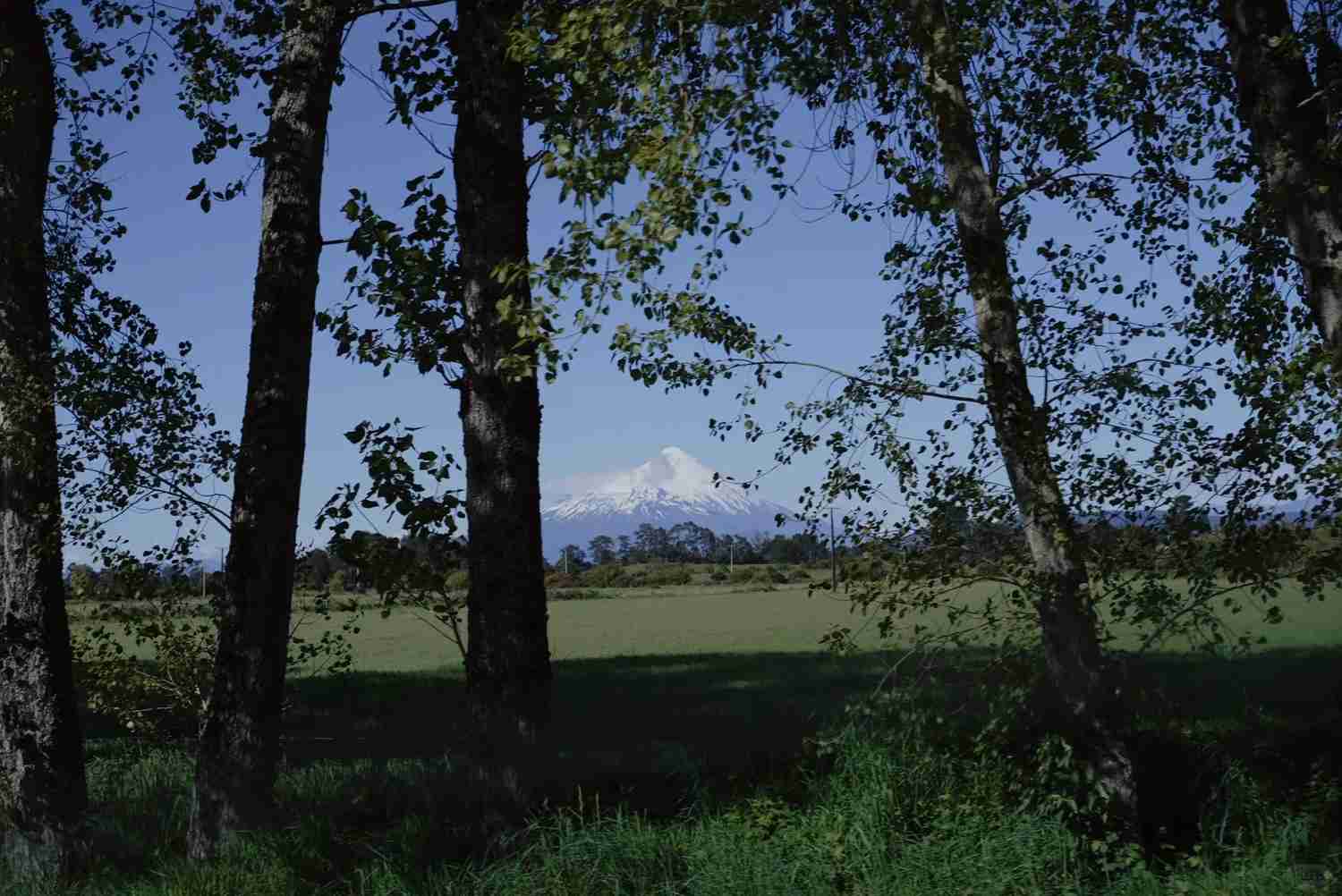 How to Plan a Budget Self-Guided Tour in Chile Post-Pandemic?