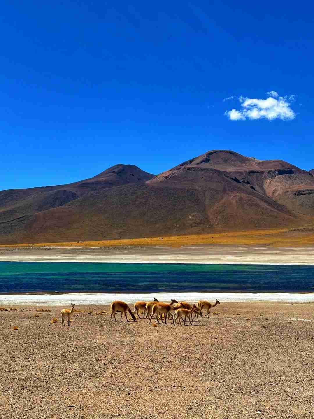 How to Plan a Budget Self-Guided Tour in Atacama Desert Chile?