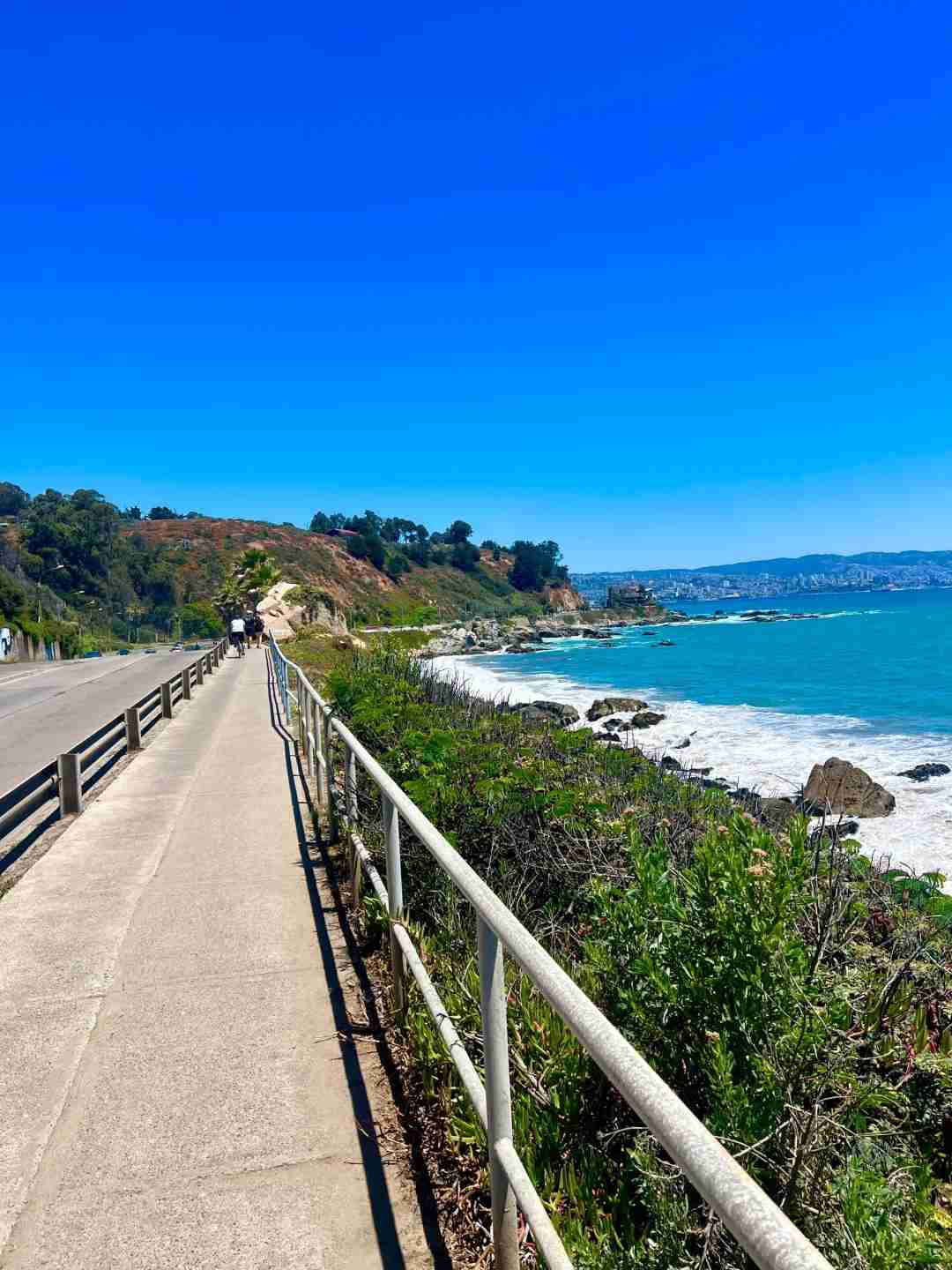 How to Plan a Budget Self-Guided Tour to Santiago's Jelly Sea?