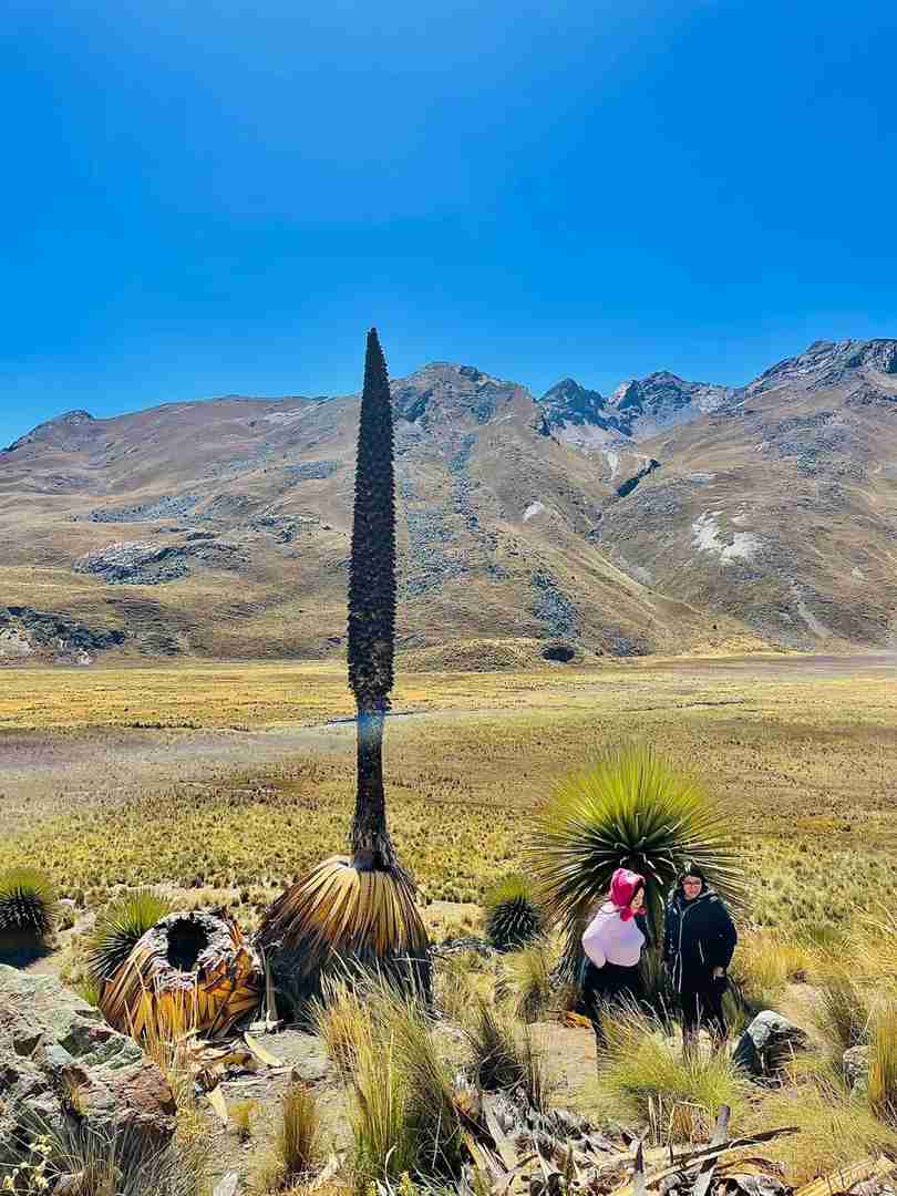 Huaraz Hiking Trails | Best Beginner Glacier Routes in Peru