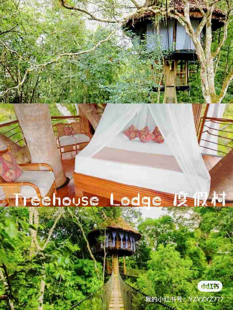 Iquitos Amazon Rainforest Nanny Services and Travel Guide