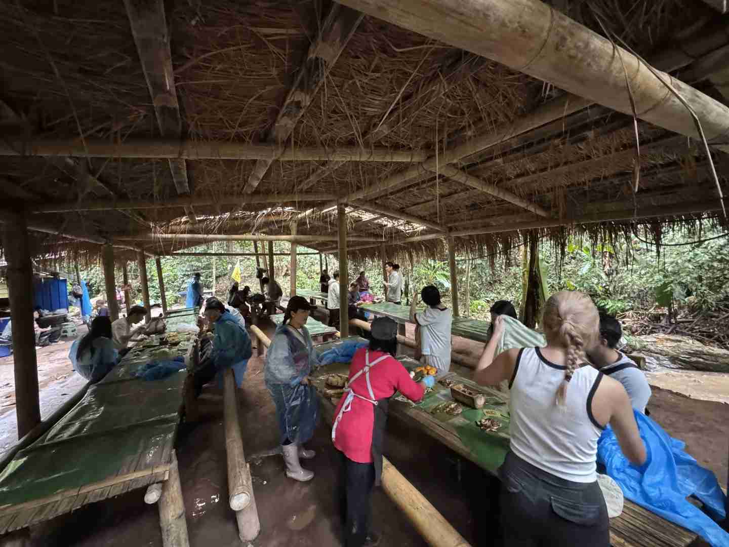 Randonnée dans la forêt tropicale du Mont Kino : Un itinéraire pittoresque mais ardu