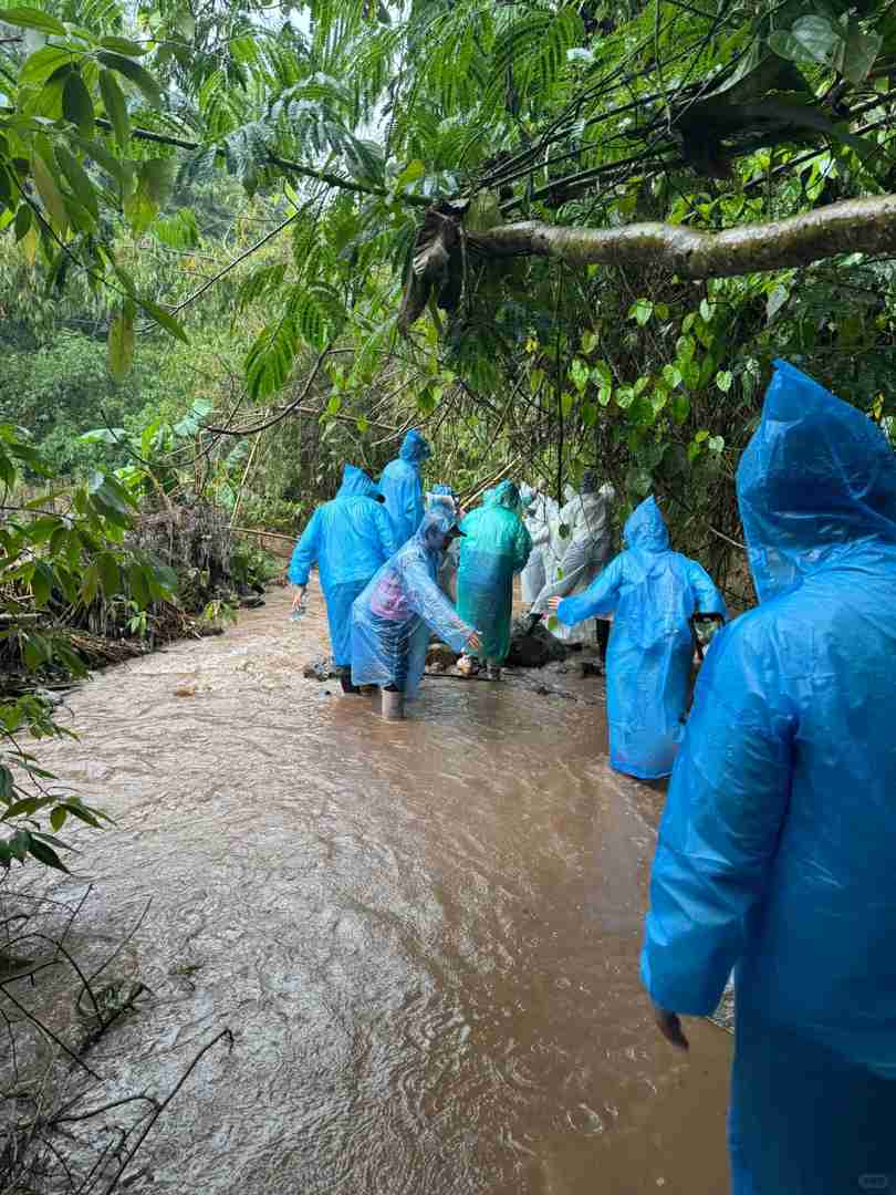 Randonnée dans la forêt tropicale du Mont Kino : Un itinéraire pittoresque mais ardu