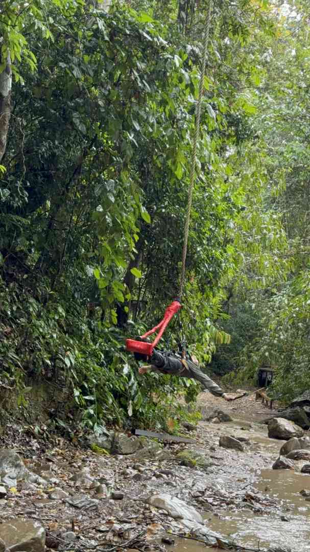 Randonnée dans la forêt tropicale du Mont Kino : Un itinéraire pittoresque mais ardu