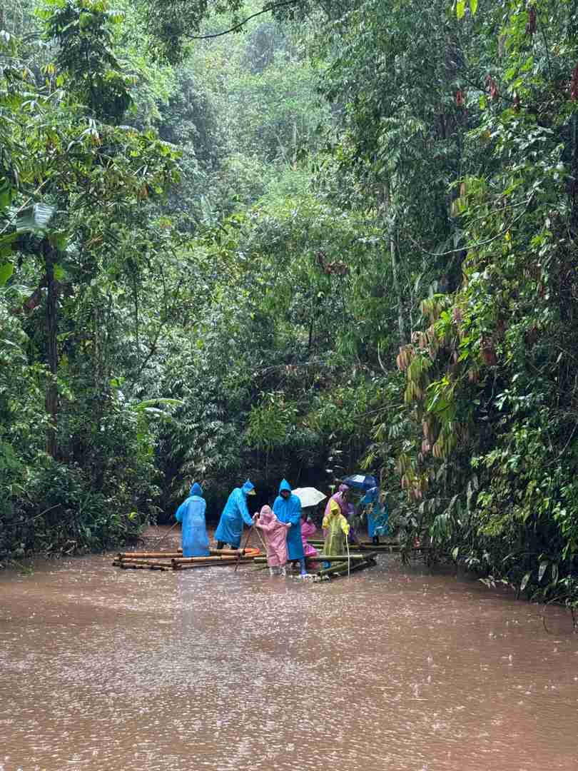 Randonnée dans la forêt tropicale du Mont Kino : Un itinéraire pittoresque mais ardu