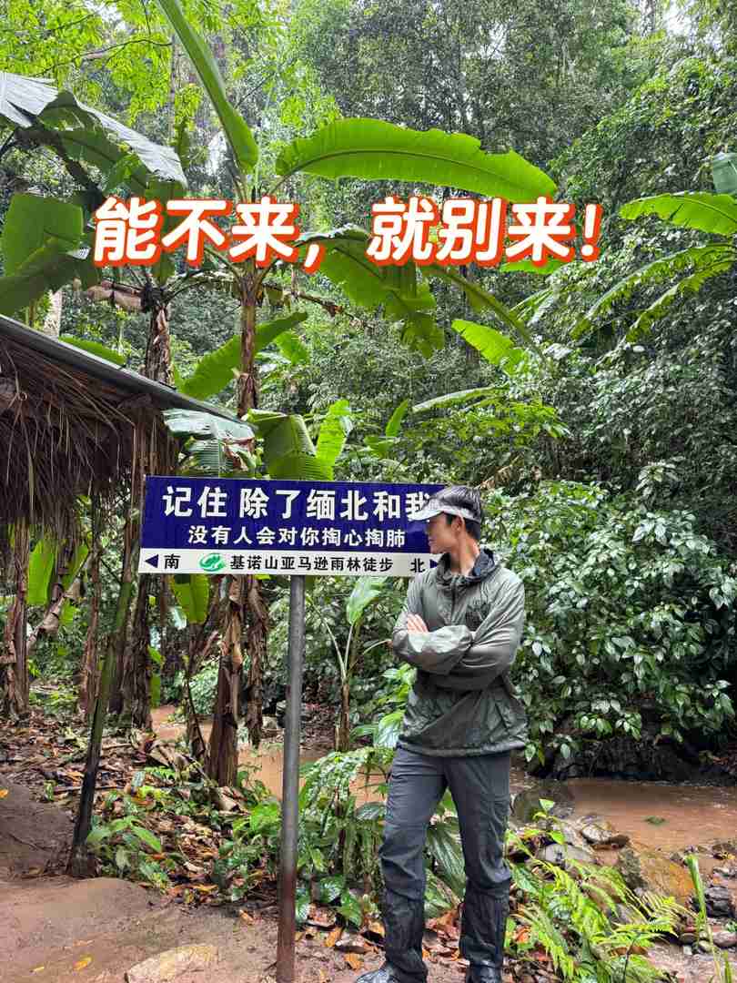 Randonnée dans la forêt tropicale du Mont Kino : Un itinéraire pittoresque mais ardu