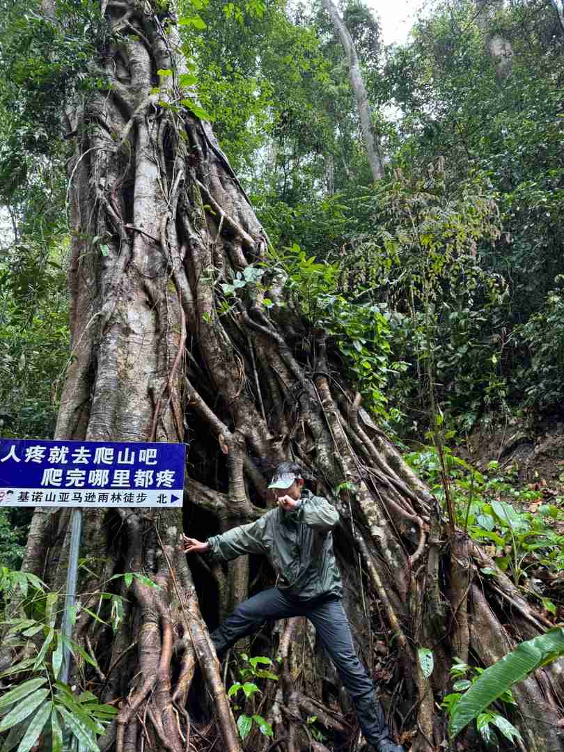 Randonnée dans la forêt tropicale du Mont Kino : Un itinéraire pittoresque mais ardu