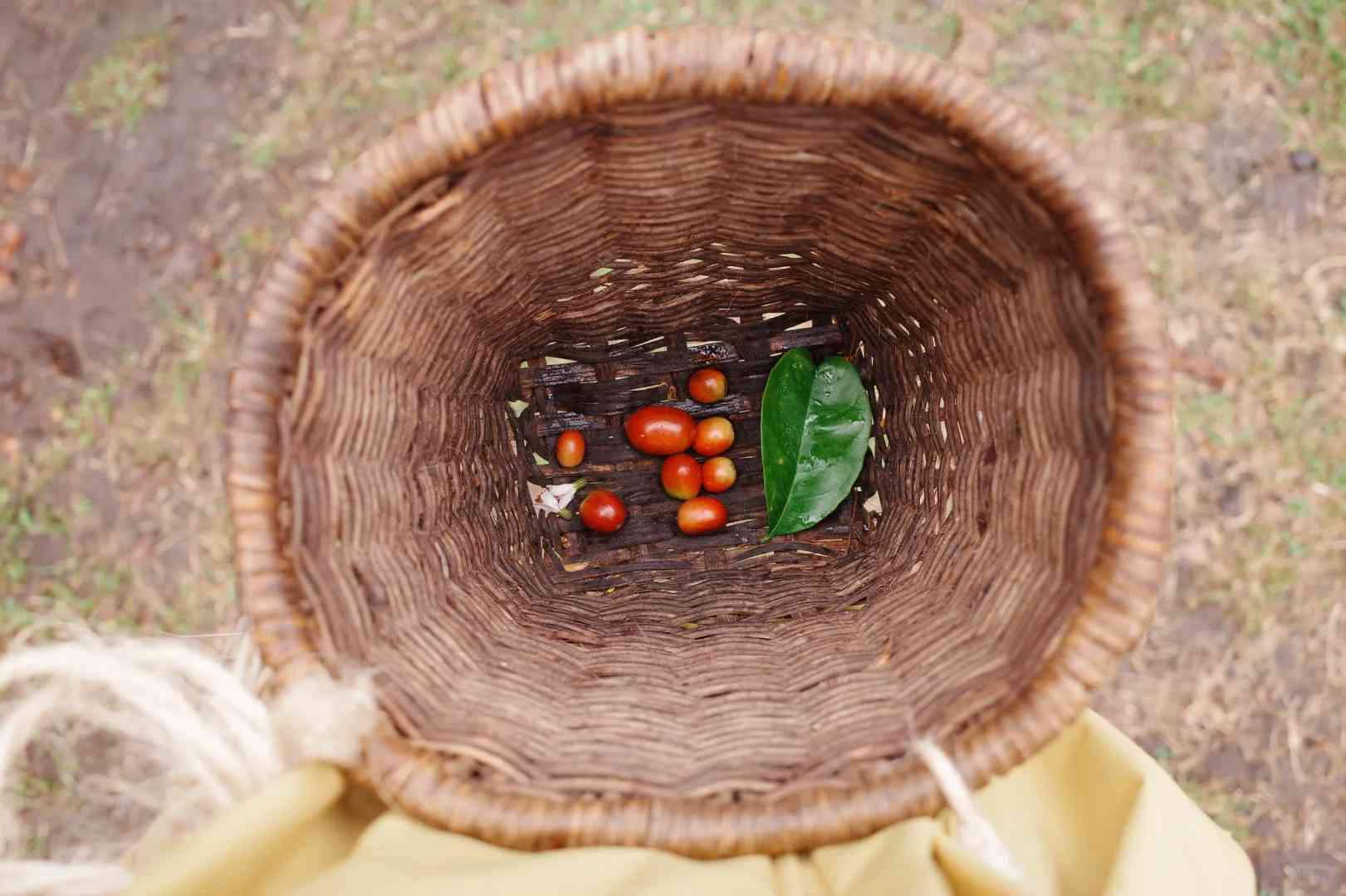 Kokola Valley Coffee Estate: Premium ☕️ Grown in Paradise 🌴🍒
