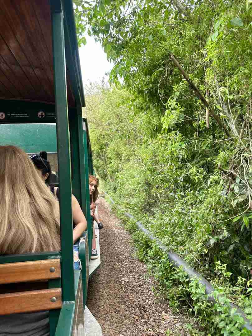 Lazy Traveler's Guide: Exploring Iguazu Falls in Early Spring Light