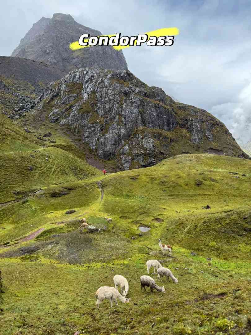 Machu Picchu Hiking: Lares Trek 4 Days 3 Nights | Best Adventure Tour