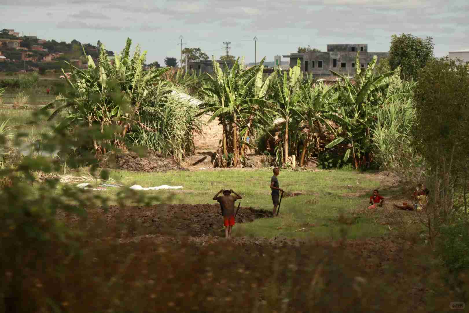 Madagascar Meteorite Travelogue: Day 2 Exploration Record