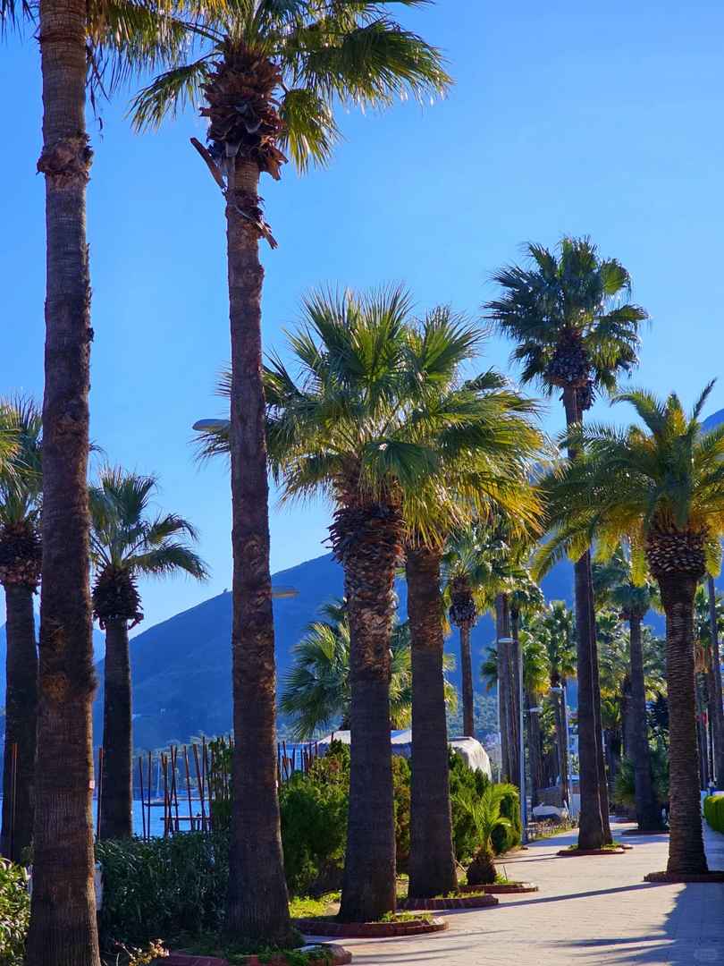 Marmaris Holidays 2024: Best Deals for Your Dream Vacation