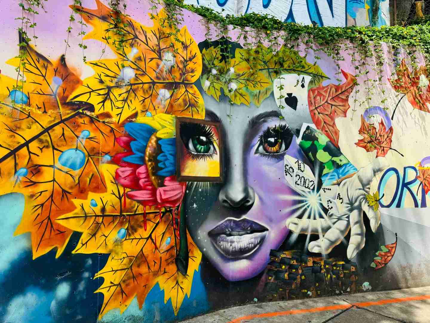 Medellin City Tour: Explore Hidden Gems with Local Guides