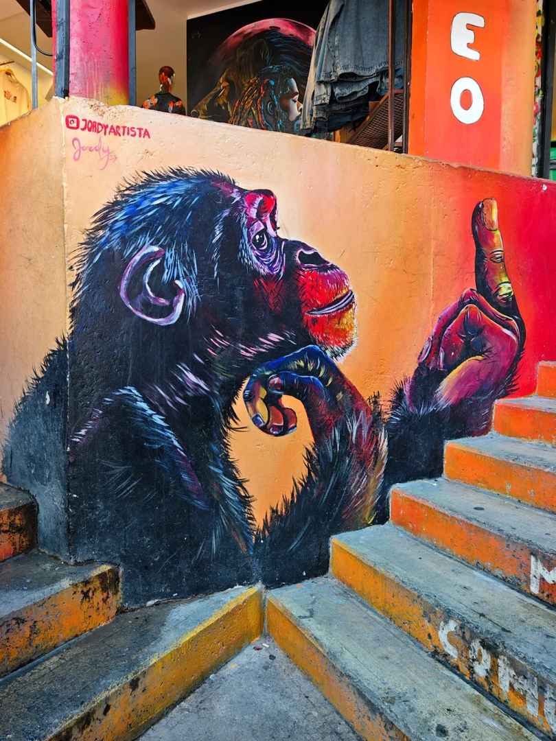 Medellin, Colombia: In-Depth Travel Guide for First-Time Visitors