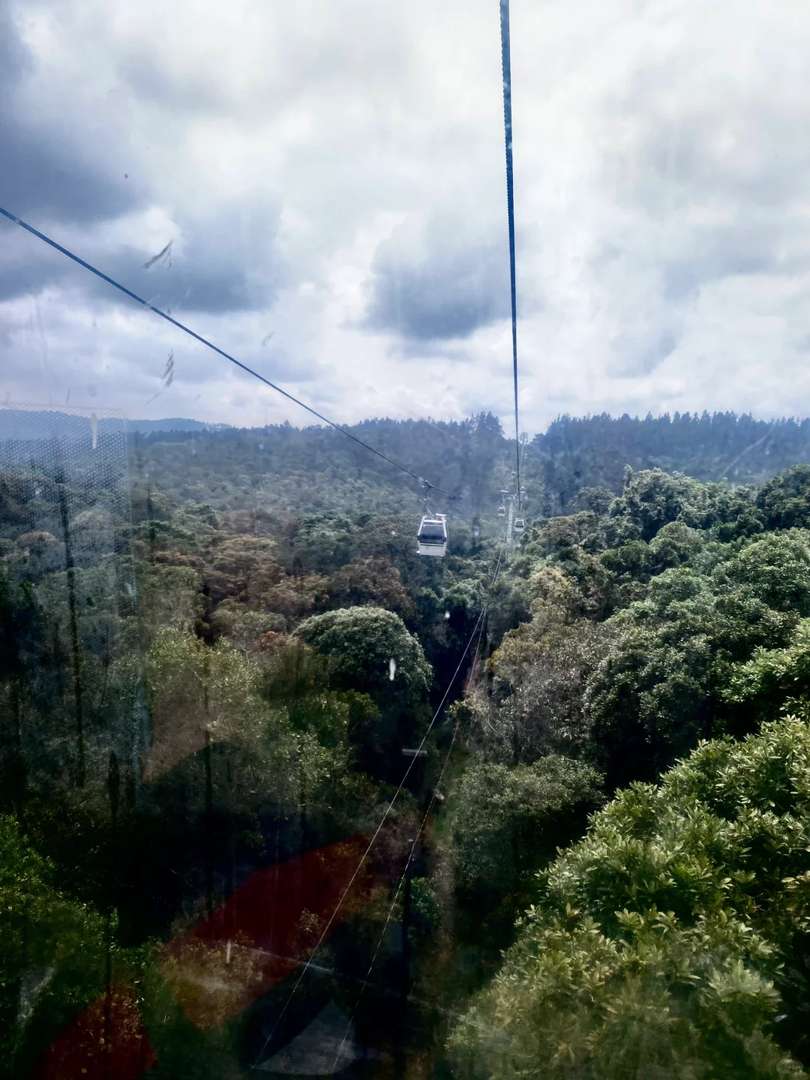 Guide de divertissement de Medellin : Les 10 + lieux incontournables à visiter après 30 jours