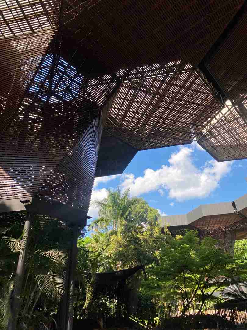 Guide de divertissement de Medellin : Les 10 + lieux incontournables à visiter après 30 jours