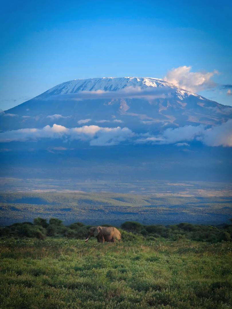 Nairobi to Amboseli Public Transportation Options for Independent Travelers