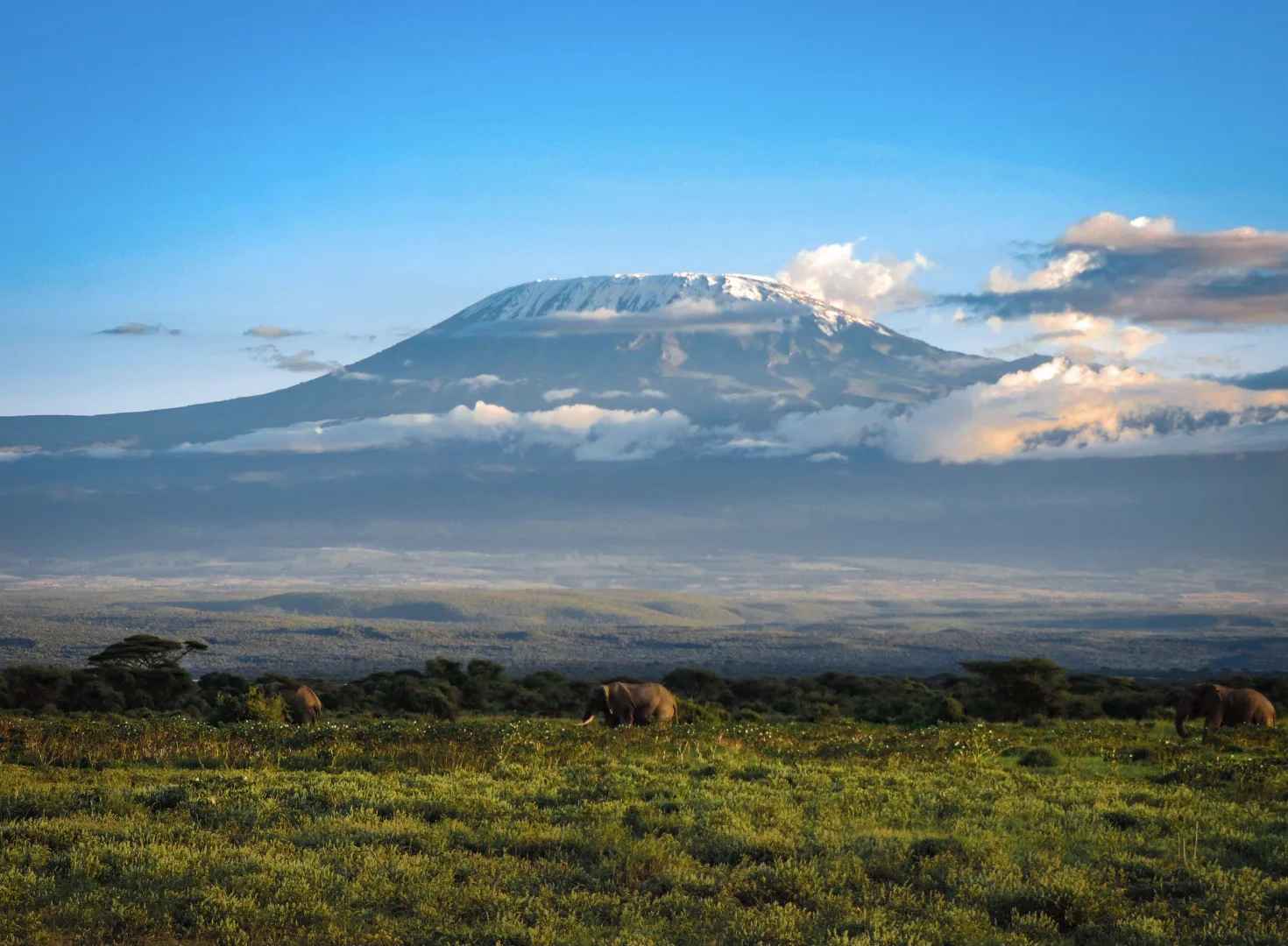 Nairobi to Amboseli Public Transportation Options for Independent Travelers