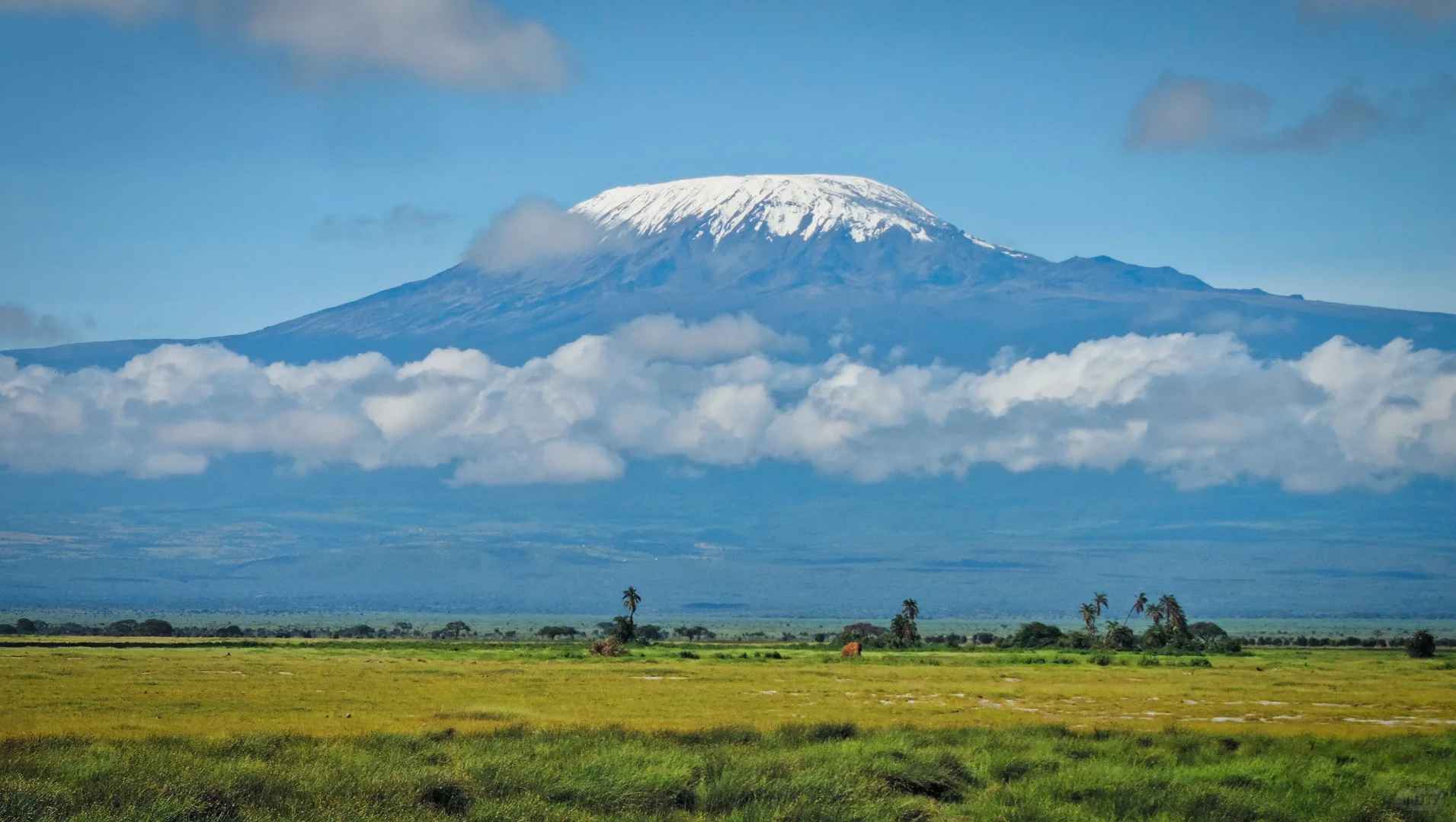Nairobi to Amboseli Public Transportation Options for Independent Travelers