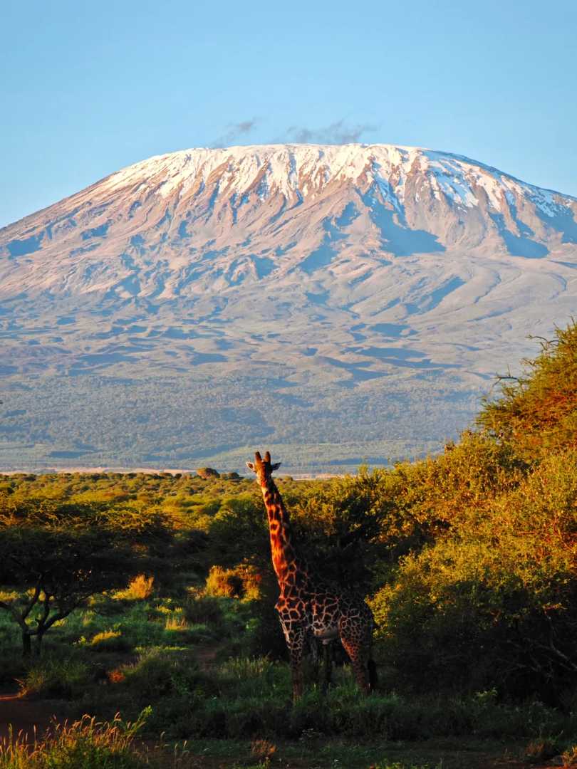 Nairobi to Amboseli Public Transportation Options for Independent Travelers
