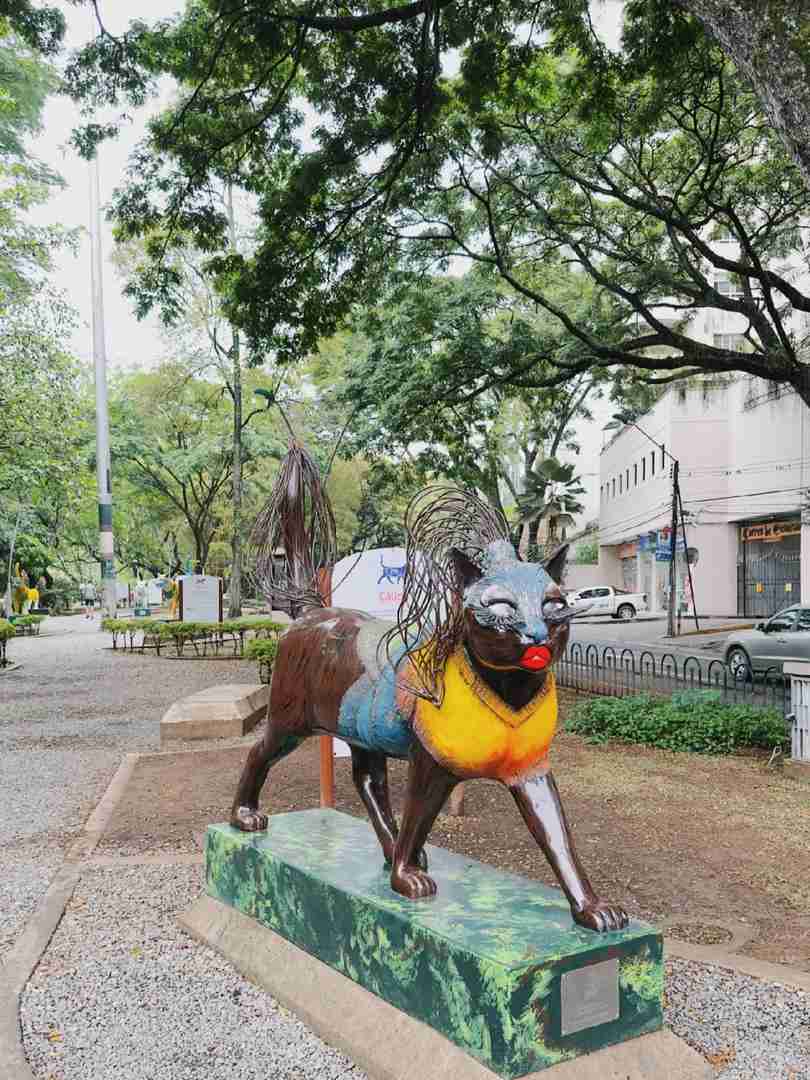 Night Bus from Medellin to Cali Colombia | Salsa Capital Travel Guide