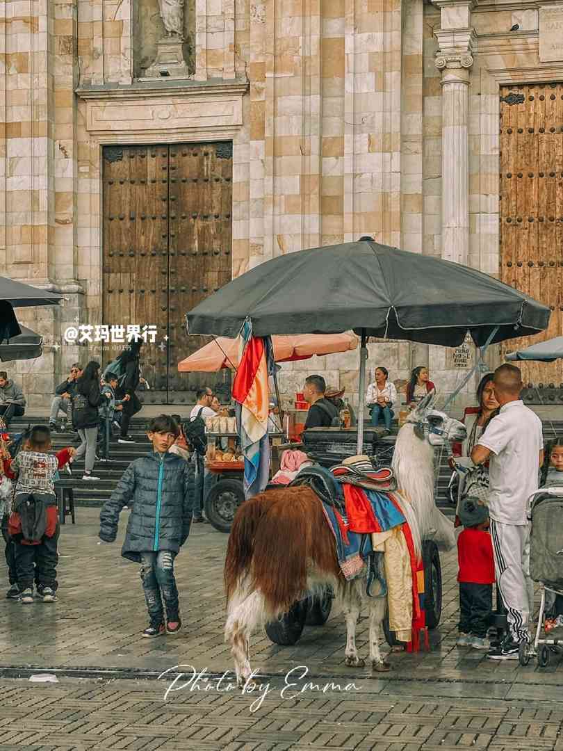 One-Day Bogota Tour Guide: Colombia's Top Attractions & Hidden Gems