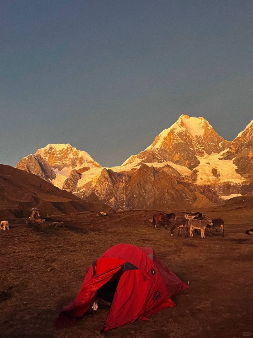 Peru Hiking Adventure: 8-day Huayhuash Circuit in the Andes Eden