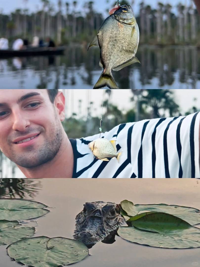 Peru Travel Guide: Exploring the Amazon Rainforest in Depth